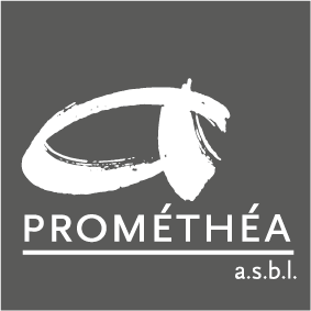 Promethea asbl gris